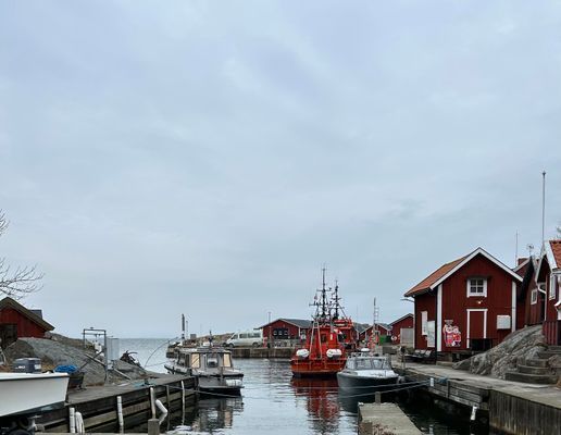 Litet hus på Landsort uthyres - Bild 26