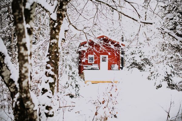 Charmigt rött svenskt hus i skogen - Bild 11