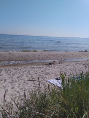 Stuga med fri havsutsikt och nära till badstrand - Bild 11