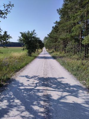 Stuga med fri havsutsikt och nära till badstrand - Bild 13