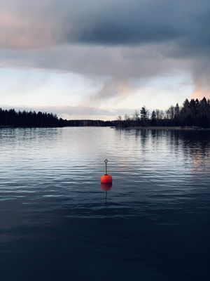 Sjönära stuga på ö i Roslagen (roddbåt ingår) - Bild 21