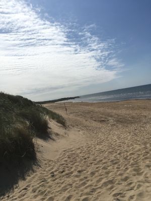 Fräsch fin badstuga på populära Skrea Strand - Bild 8