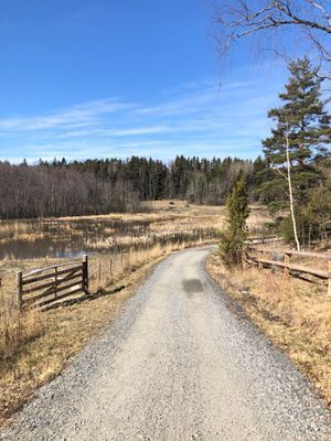 Sjönära stuga på ö i Roslagen (roddbåt ingår) - Bild 23