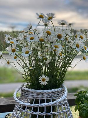 Charmig sommarstuga med altandäck och sjöutsikt - Bild 14