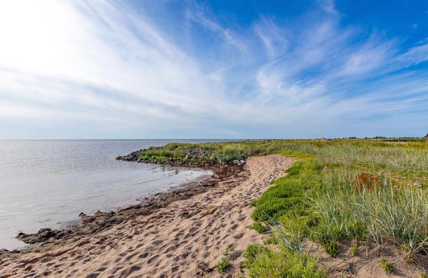 Seaside house on eastern Öland - Bild 17