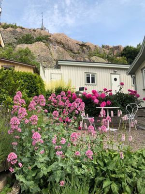 Fräscht Gårdshus i hjärtat av Lysekil