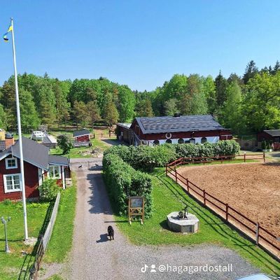 Vandrarhem/ rum