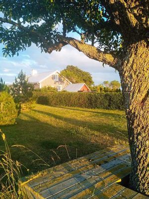 9 min Gnisvärd,Tofta. Nära Visby & djurpark - Bild 19