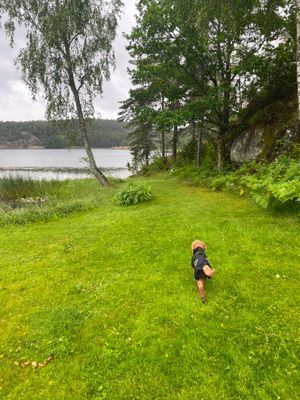 Naturnära semesterhus på Daftö, Strömstad - Bild 15