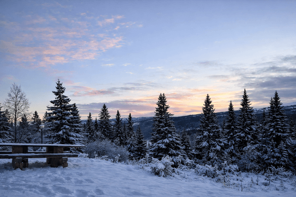 Mysig fjällstuga med ski-in/ski-out 🏔️