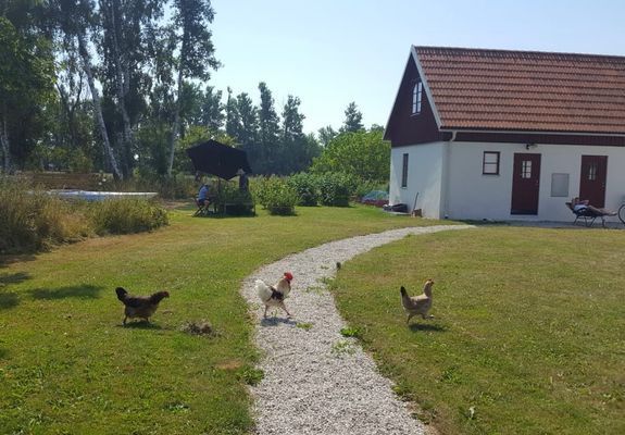 Som gäst bjuds du på vår egen gårdshonung, och i mån av tillgång även färska ägg 🥚