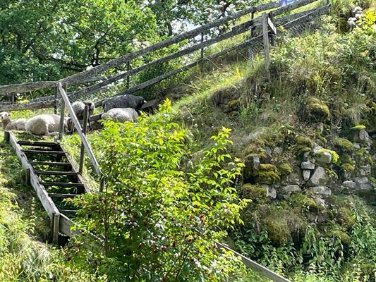 Bild 3 på Enklare sommarboende i Östergötland