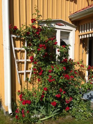 Bild 4 på Smålandsvilla