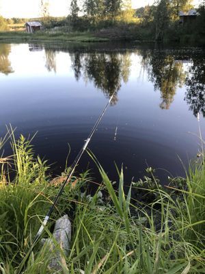 Fisketur ?