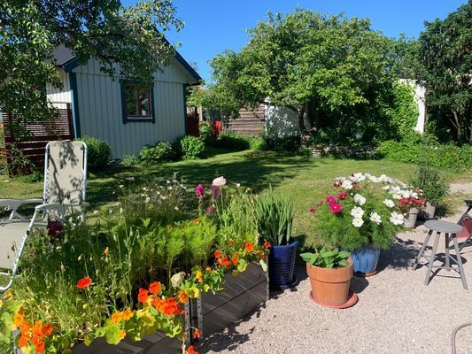 Bild 4 på MYSIG STUGA CENTRALT I VISBY!