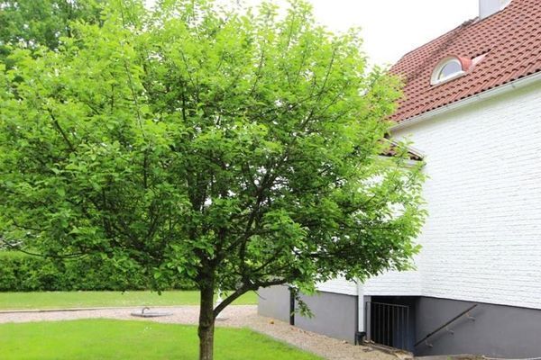Villa in southern Småland near Lake Möckeln - Bild 18