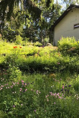 Upplev Roslagen - Bild 32