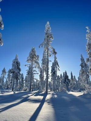 Njut av svenska Lappland med privat bastu - Bild 33
