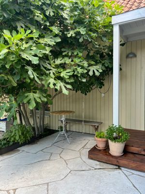 Villa i Visby med lummig trädgård - Bild 19