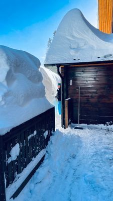 Mysigt fjällboende i Åre Björnen - Bild 23