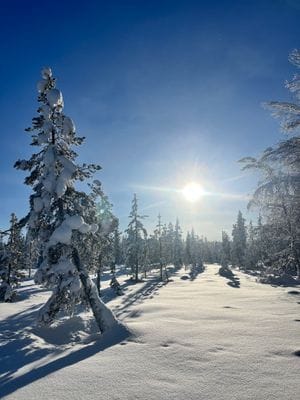 Njut av svenska Lappland med privat bastu - Bild 36