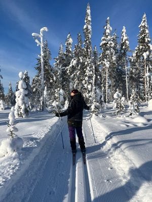 Njut av svenska Lappland med privat bastu - Bild 35