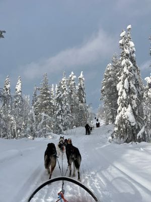 Njut av svenska Lappland med privat bastu - Bild 34