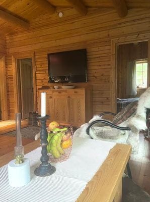 Timrad stuga i skog- och fjällmiljö - Bild 13