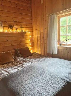 Timrad stuga i skog- och fjällmiljö