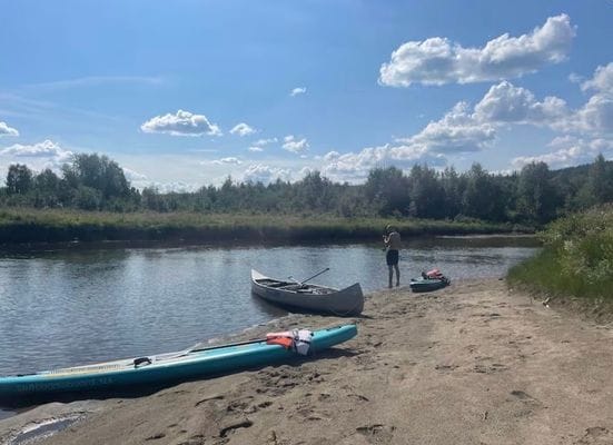 Timrad stuga i skog- och fjällmiljö - Bild 10