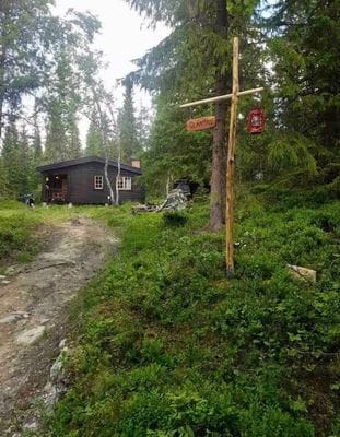 Timrad stuga i skog- och fjällmiljö - Bild 7