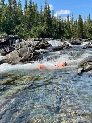 Timrad stuga i skog- och fjällmiljö - Bild 12