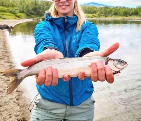 Timrad stuga i skog- och fjällmiljö - Bild 8