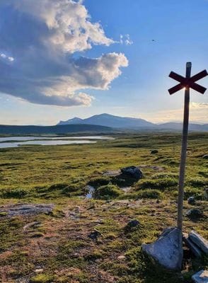 Timrad stuga i skog- och fjällmiljö - Bild 9