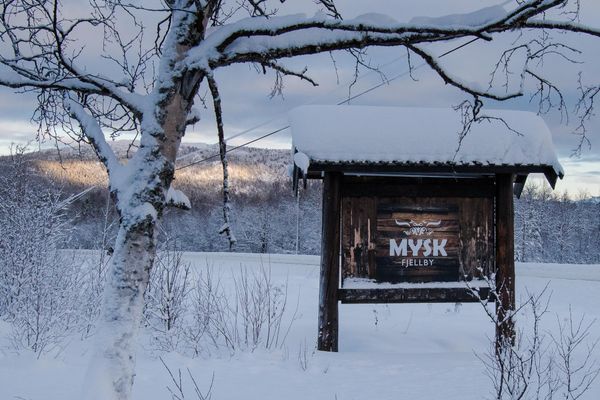 Storhus & Lillhus (8+2 bäddar) med vedeldad bastu - Bild 43