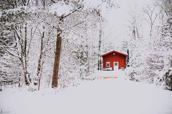 Charmigt rött svenskt hus i skogen - Bild 10