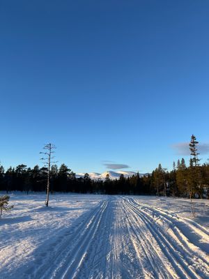 Mysig fjällstuga i Grövelsjön med murad eldstad - Bild 14
