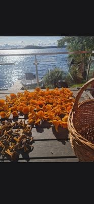 Stuga med egen sandstrand, bastu, brygga.