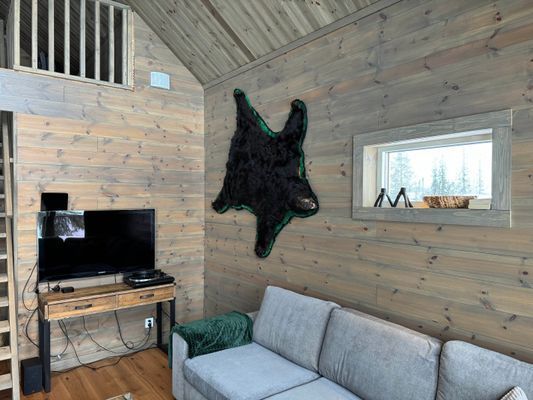 Fjällhus i Storhogna - Bild 22