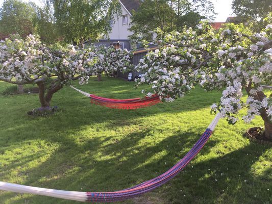 Skärgårdshus i Göteborgs Sö skärgård uthyres! - Bild 8