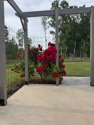 Villa med 12 bäddar och pool i Gnisvärd! - Bild 34