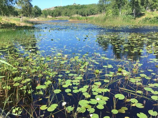 Skärgårdshus i Göteborgs Sö skärgård uthyres! - Bild 26