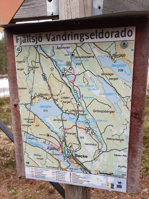 Stuga med sjöutsikt, bad, vandringsleder & fiske i - Bild 16