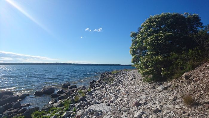 Totalt lugn - 300 m från underbar sandstrand - Bild 17