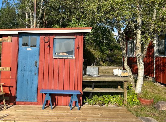 Bastun med anslutande diskplats