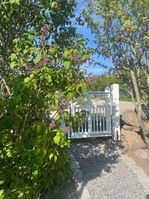 Charmig sommarstuga nära havet i Kämpersvik - Bild 6