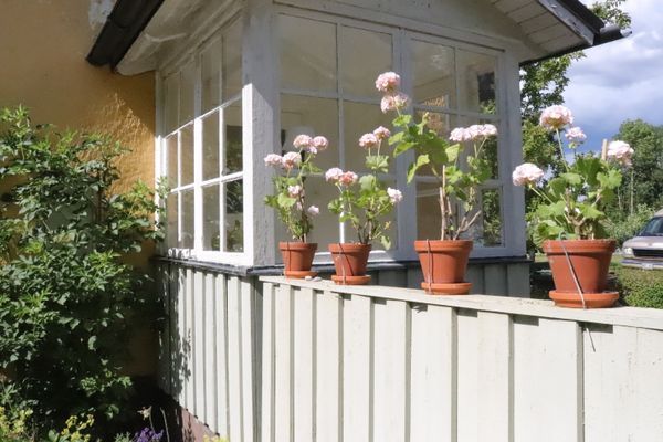 Theas hus på Österlen - Bild 28