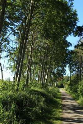 Skärgårdshus i Göteborgs Sö skärgård uthyres! - Bild 27
