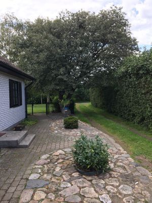 Åhus/Yngsjö - Underbar pool villa med stor tomt - Bild 13