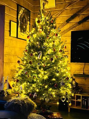 Fjällstuga med toppläge & utsikt - Bild 38